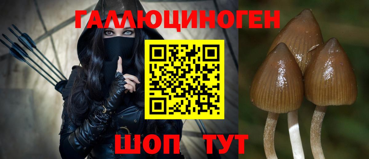 Псилоцибиновые грибы ЛСД  Вход с VPN  Галлюциногенные грибы MAGIC MUSHROOMS  Балтийск 